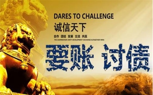 淮南信贷风险化解：老司机亲测有效的司法催收与征信修复全攻略